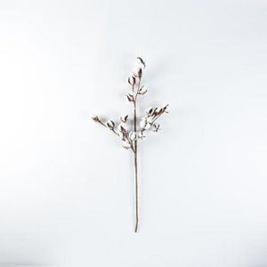 Magnolia brand Handmade faux cotton stems, size 24” long